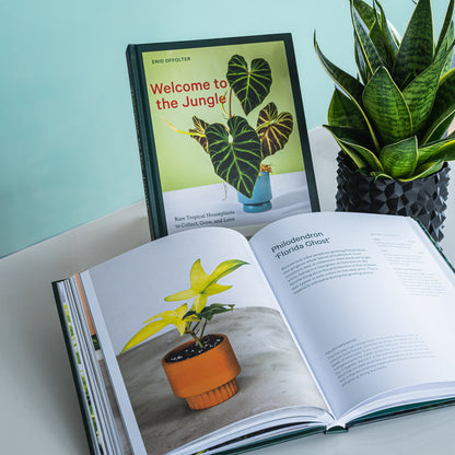 Welcome to the Jungle | The Plant Boys