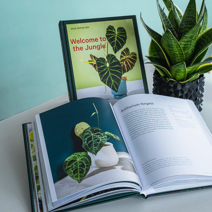 Welcome to the Jungle | The Plant Boys