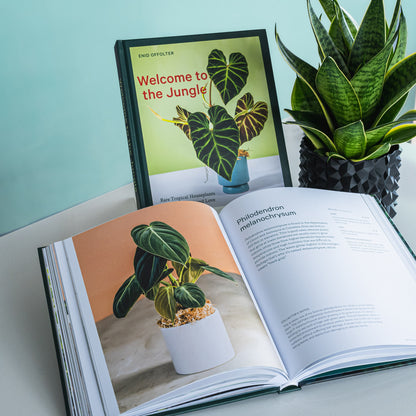 Welcome to the Jungle | The Plant Boys