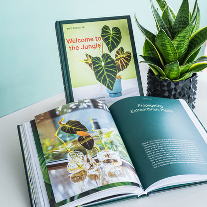 Welcome to the Jungle | The Plant Boys