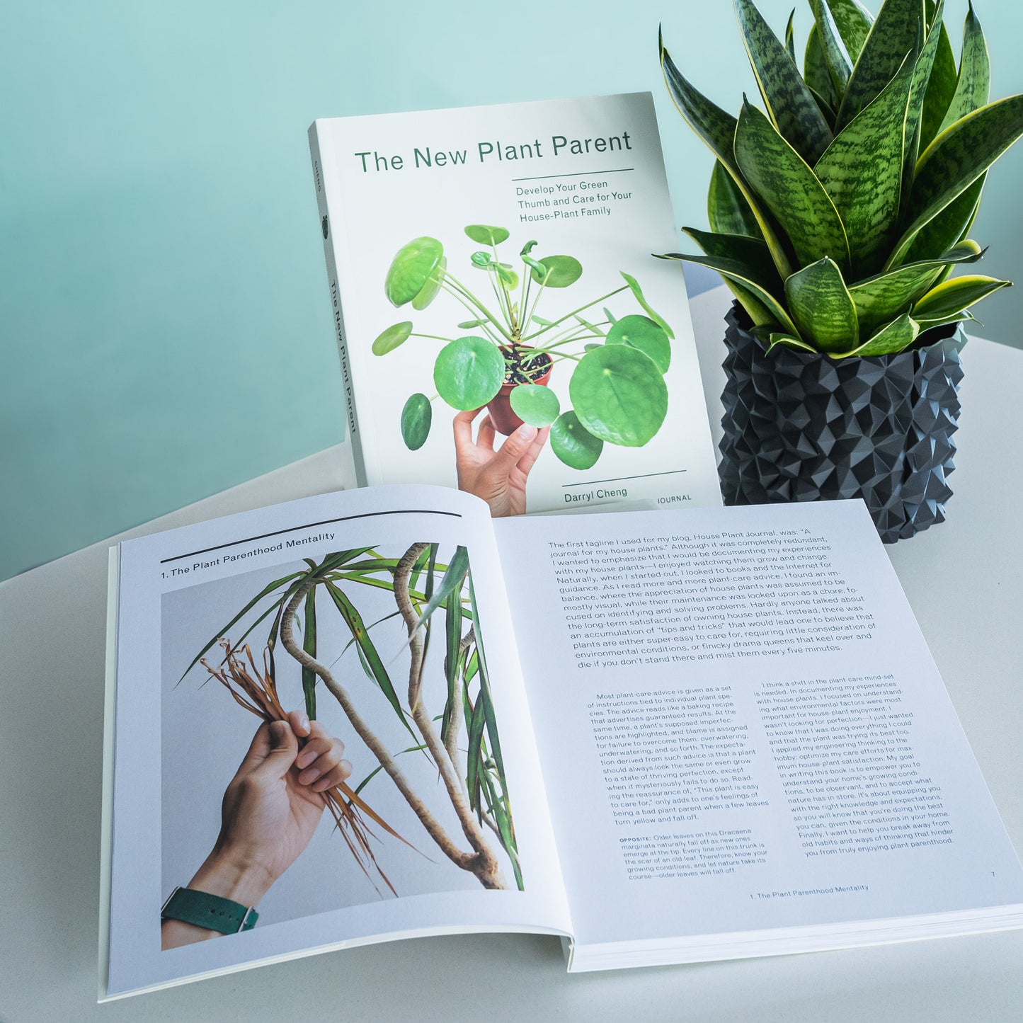 The New Plant Parent | The Plant Boys