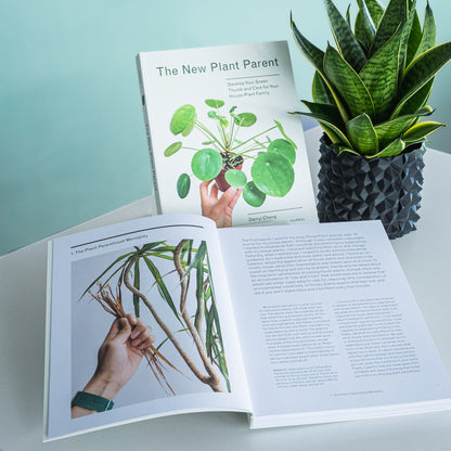 The New Plant Parent | The Plant Boys