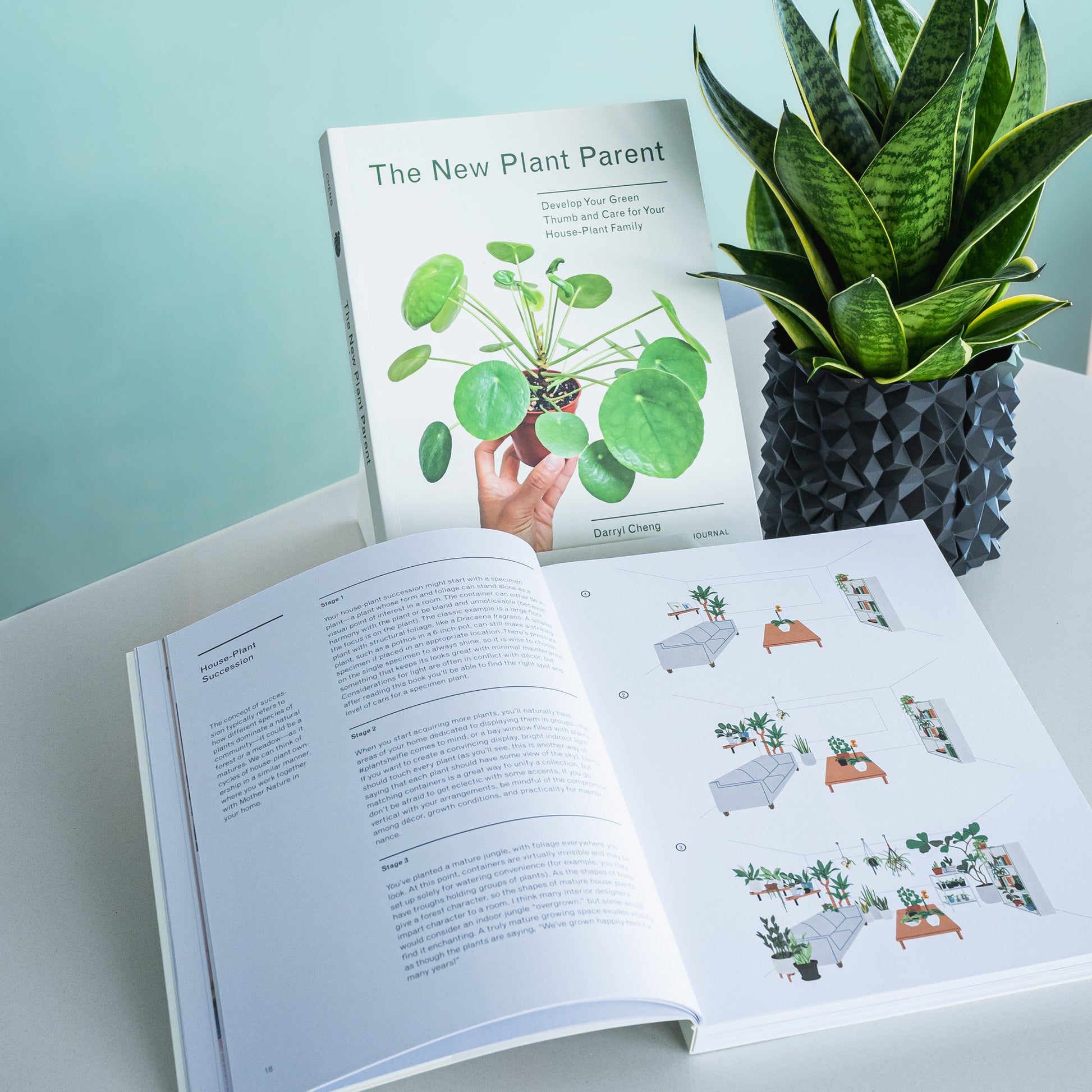 The New Plant Parent | The Plant Boys