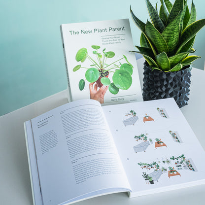 The New Plant Parent | The Plant Boys