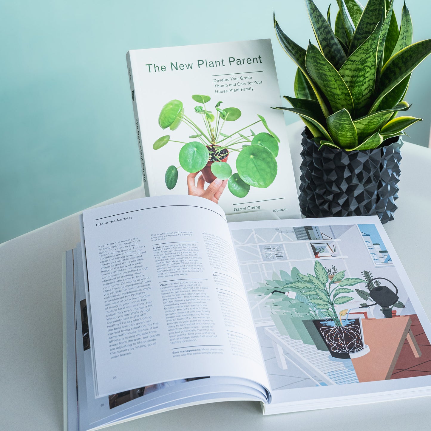 The New Plant Parent | The Plant Boys