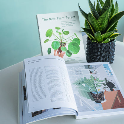 The New Plant Parent | The Plant Boys