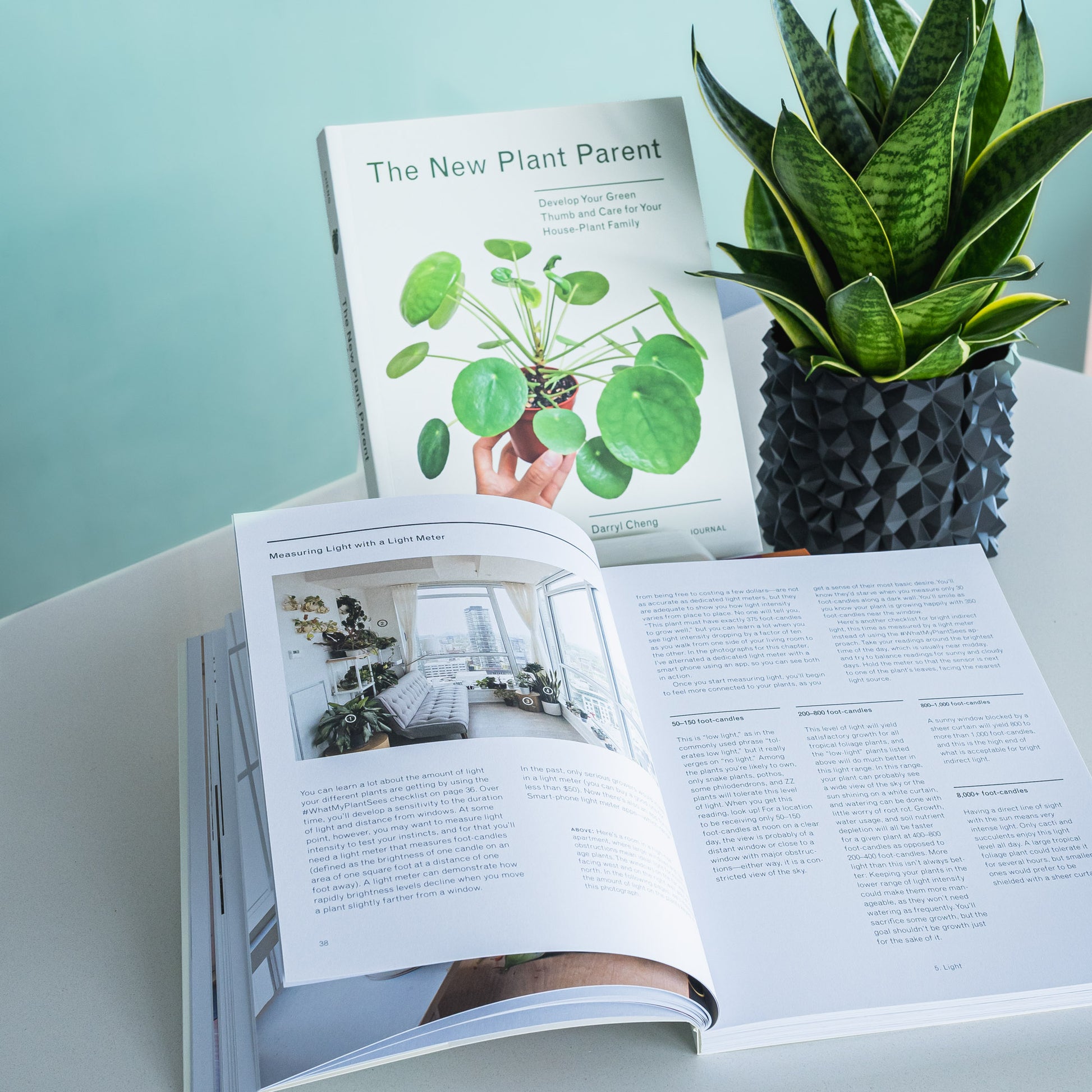 The New Plant Parent | The Plant Boys