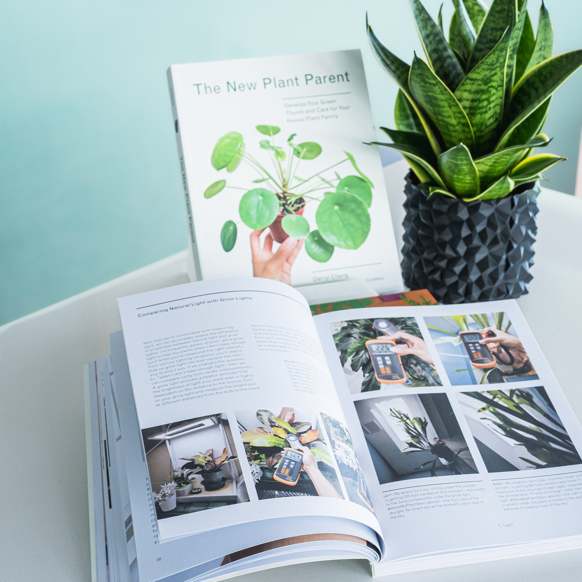 The New Plant Parent | The Plant Boys