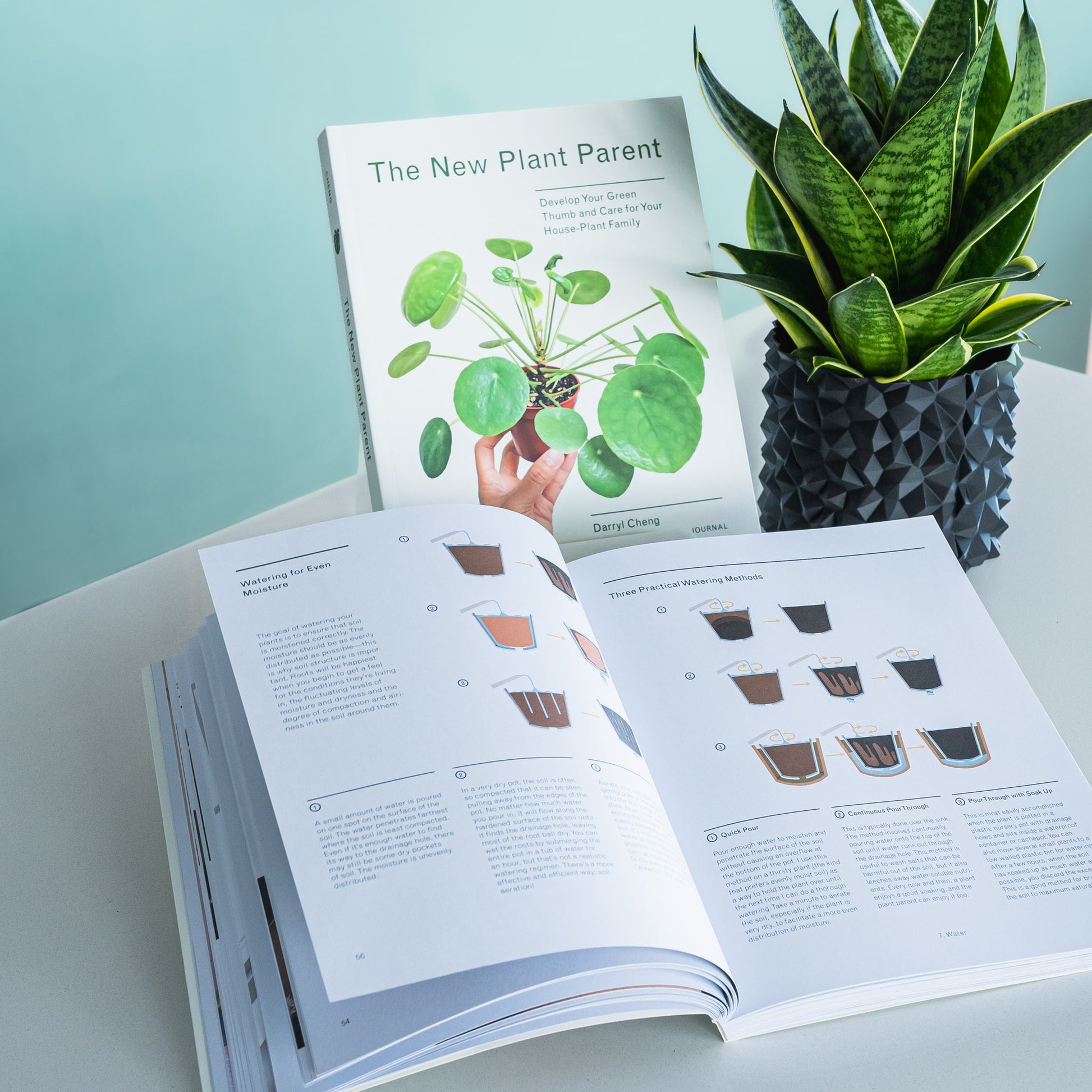 The New Plant Parent | The Plant Boys