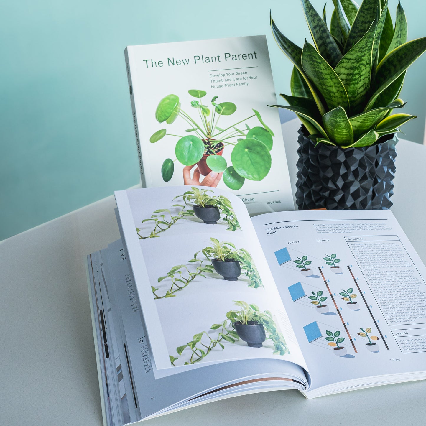 The New Plant Parent | The Plant Boys