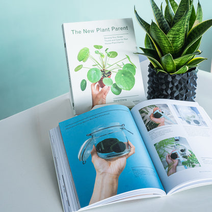 The New Plant Parent | The Plant Boys