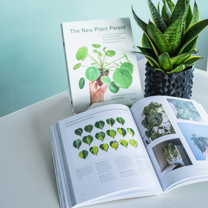 The New Plant Parent | The Plant Boys