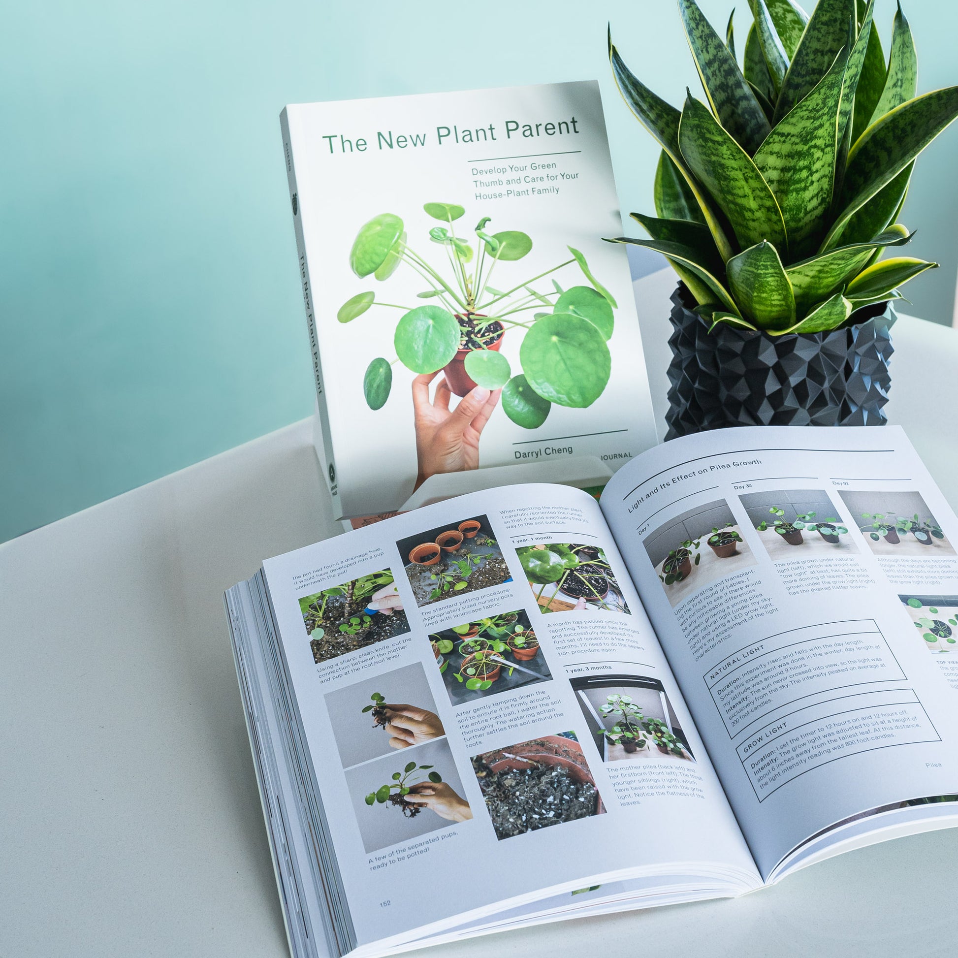 The New Plant Parent | The Plant Boys