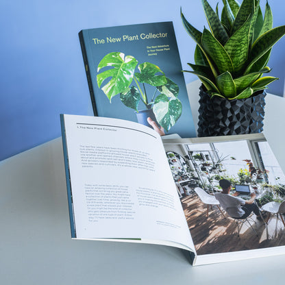 The New Plant Collector | The Plant Boys