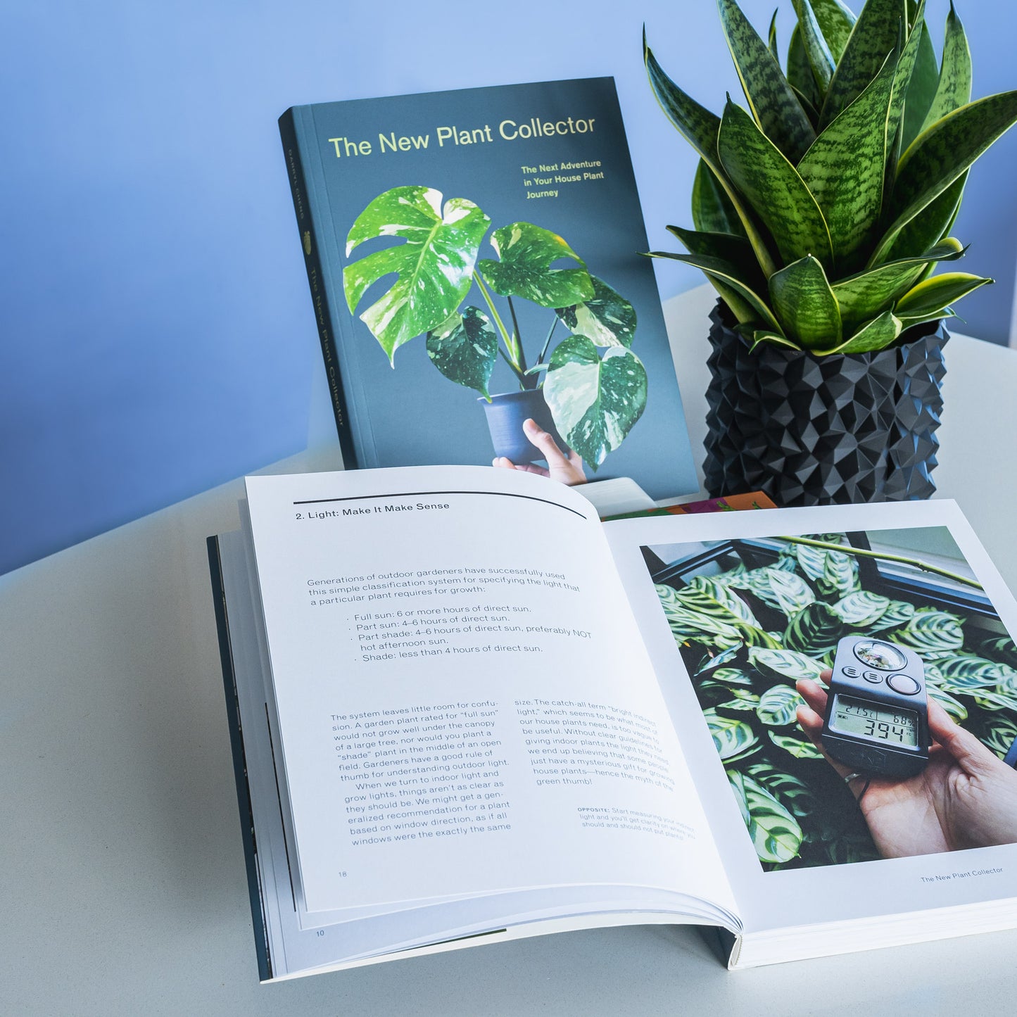 The New Plant Collector | The Plant Boys