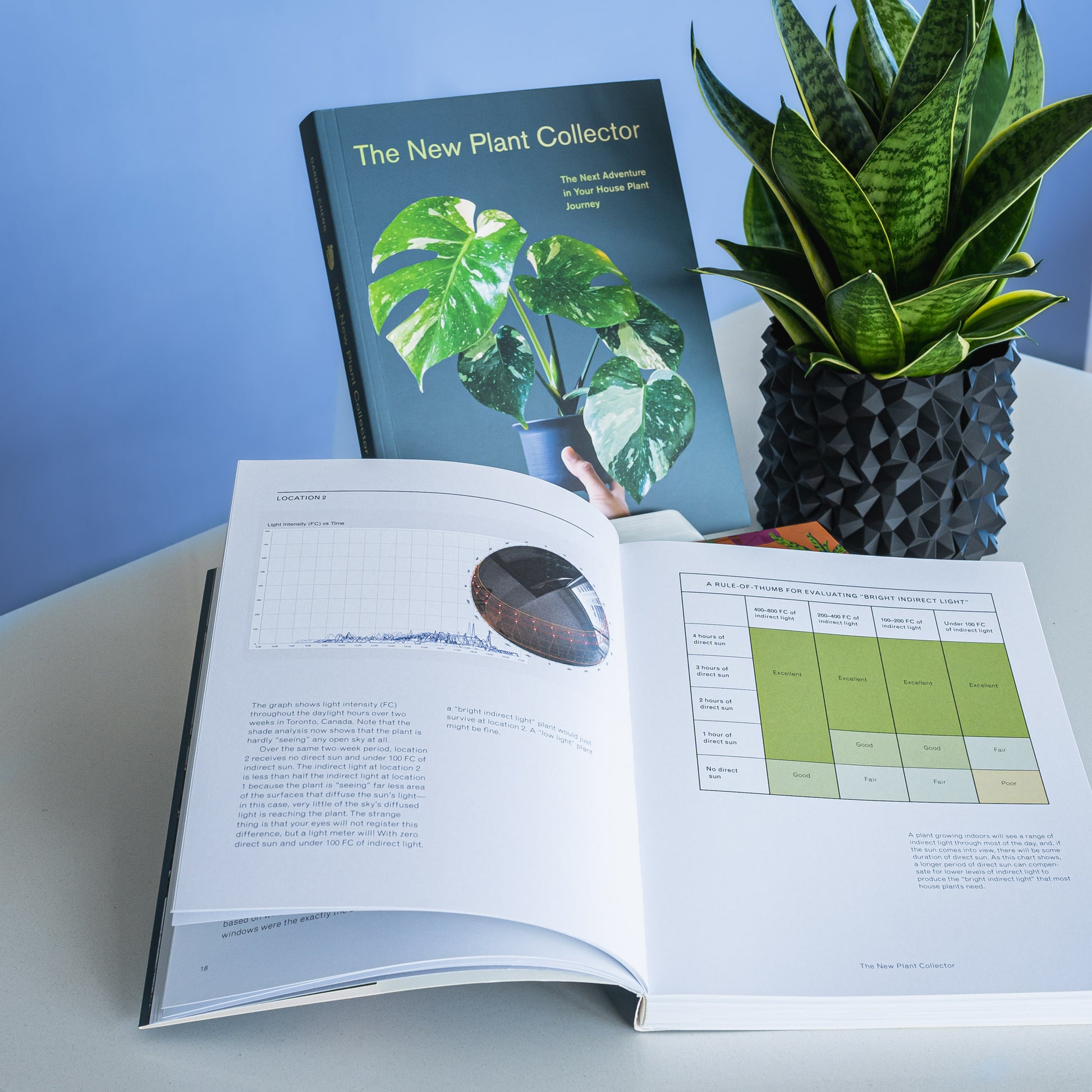 The New Plant Collector | The Plant Boys