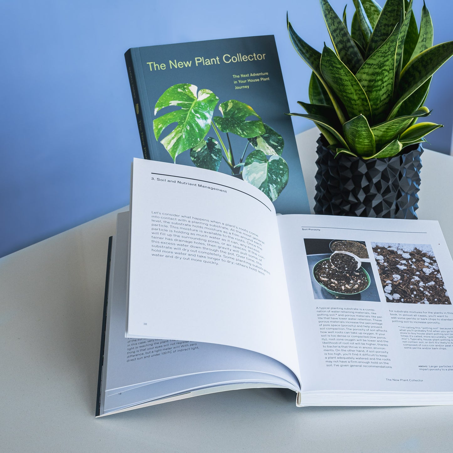 The New Plant Collector | The Plant Boys