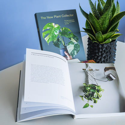 The New Plant Collector | The Plant Boys