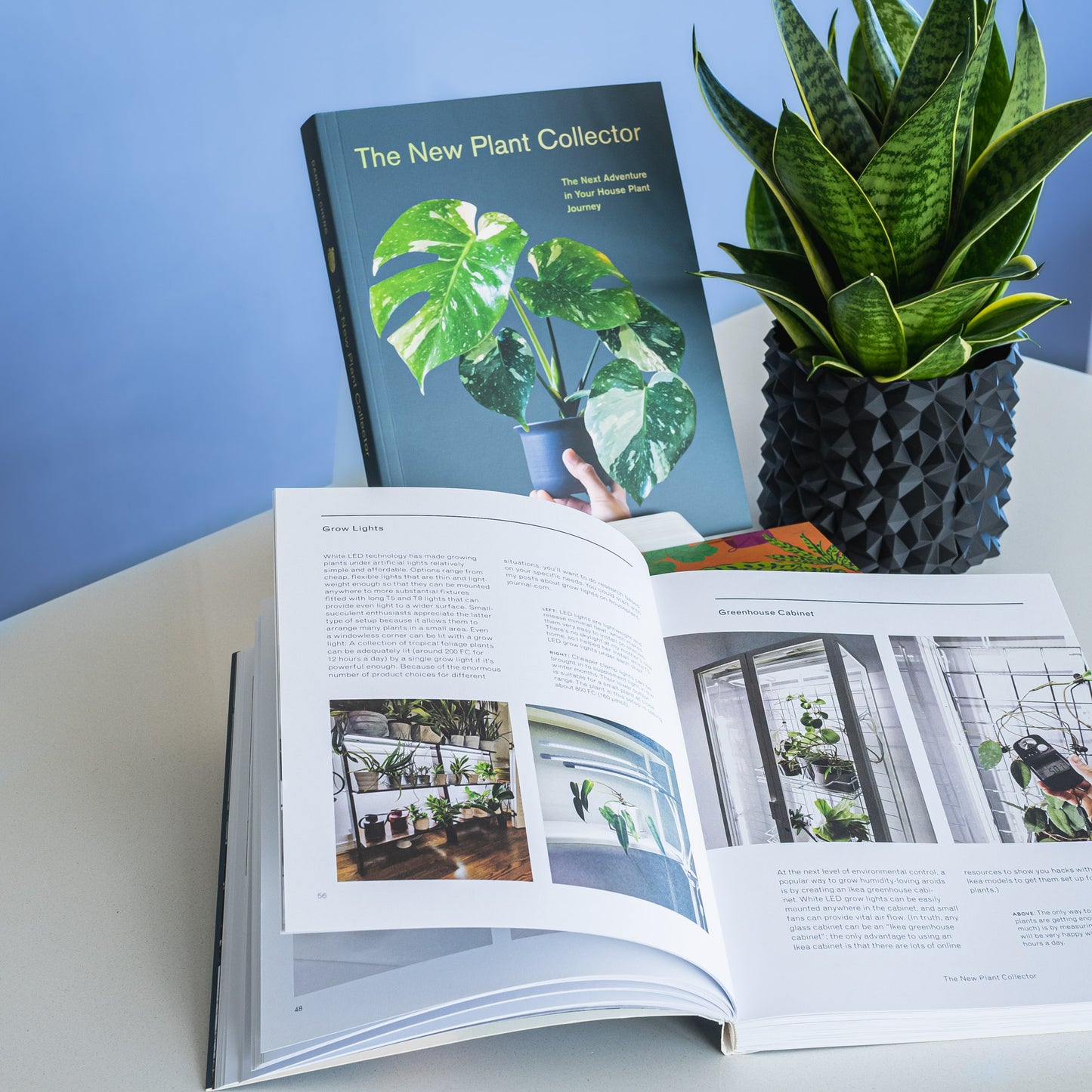 The New Plant Collector | The Plant Boys