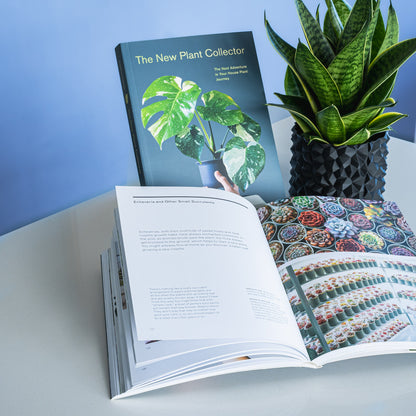 The New Plant Collector | The Plant Boys
