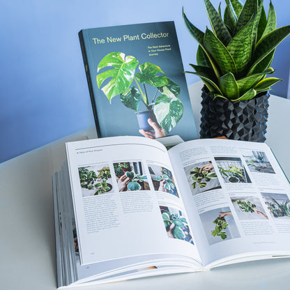 The New Plant Collector | The Plant Boys
