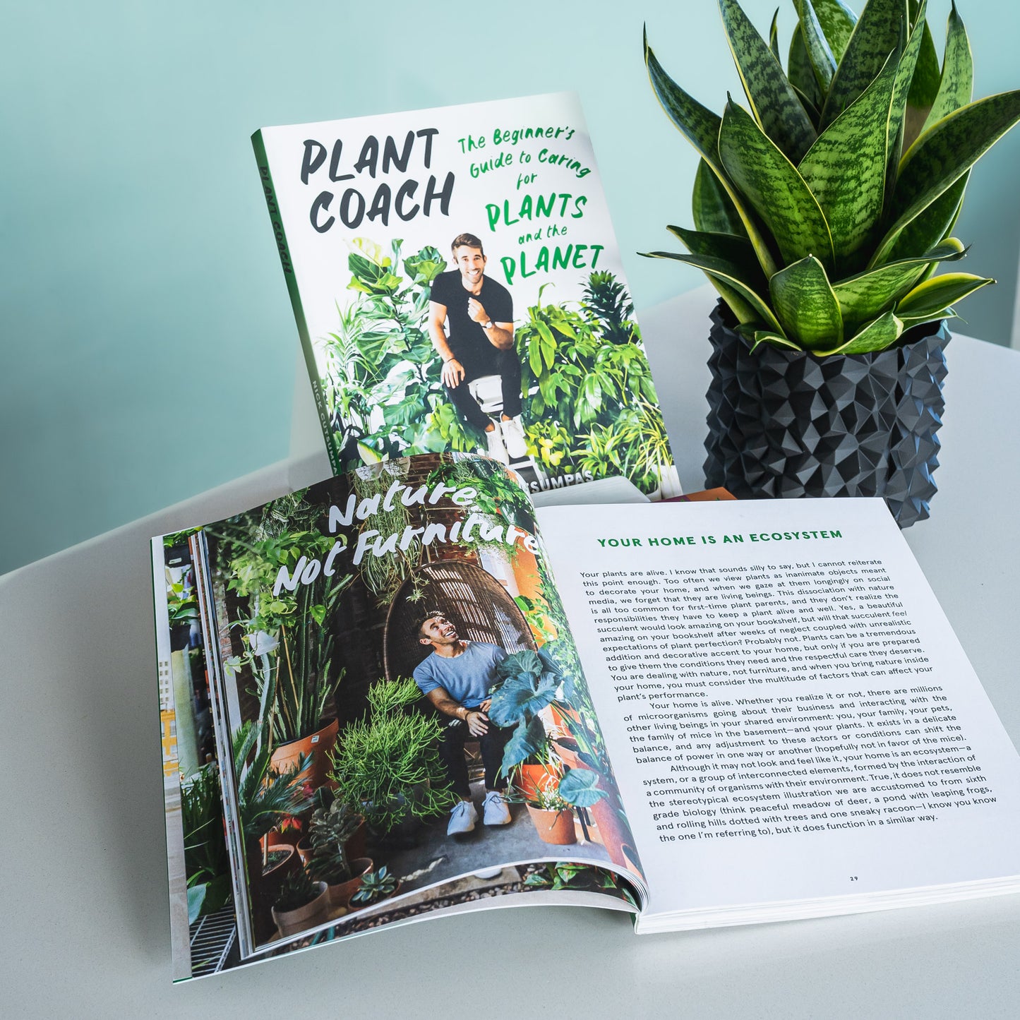 Plant Coach | The Plant Boys