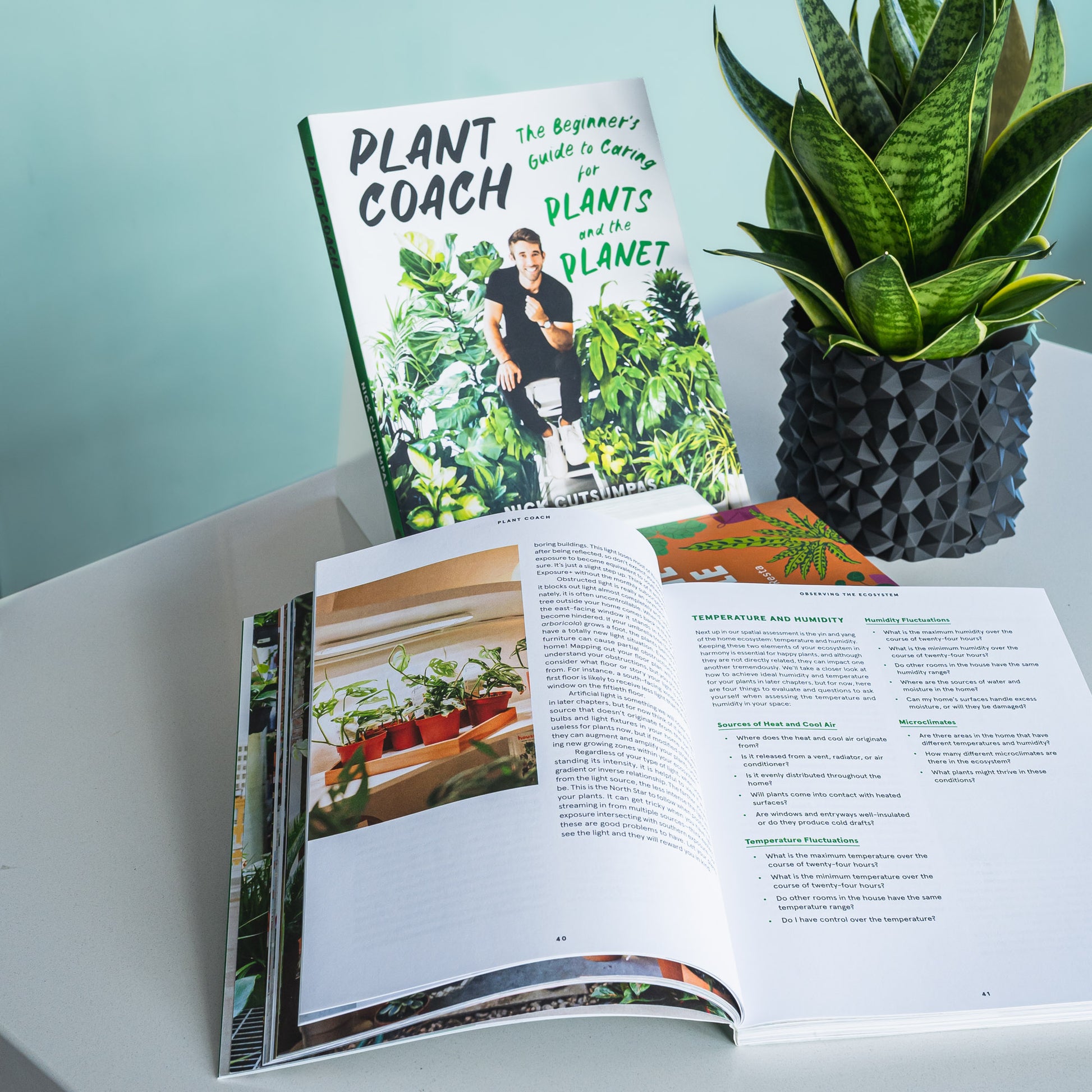 Plant Coach | The Plant Boys