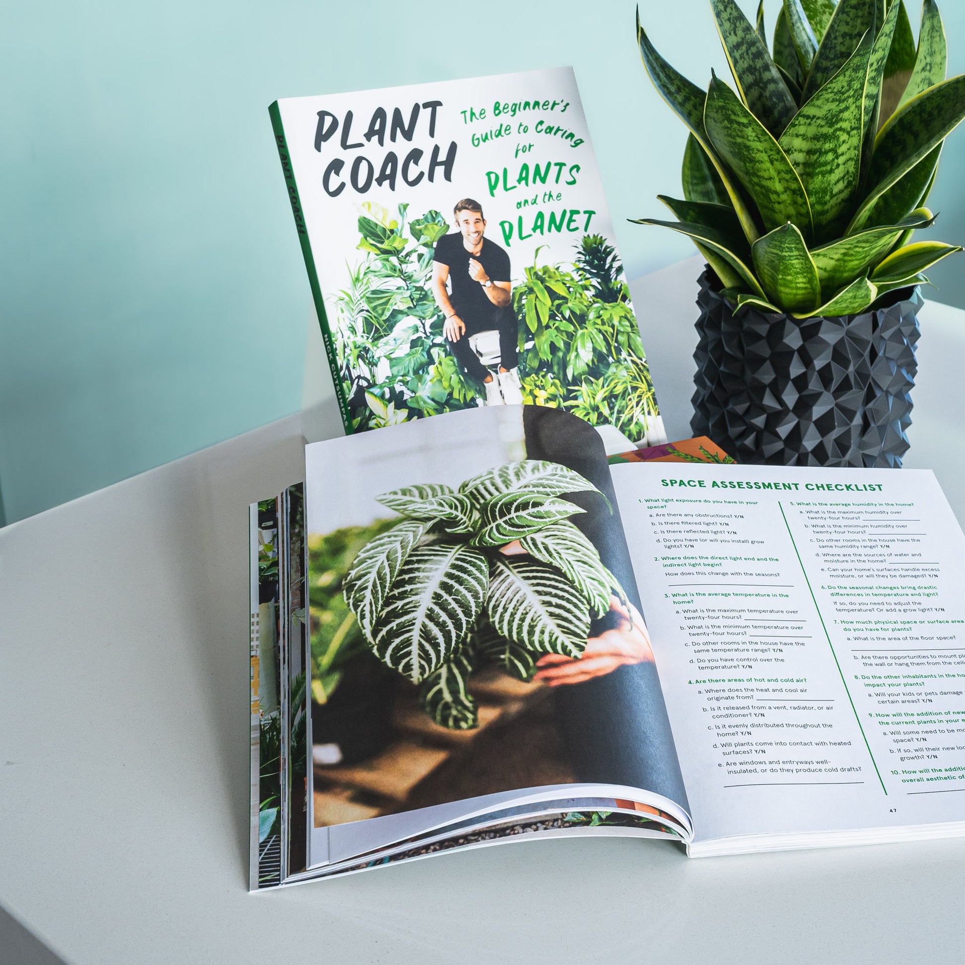 Plant Coach | The Plant Boys