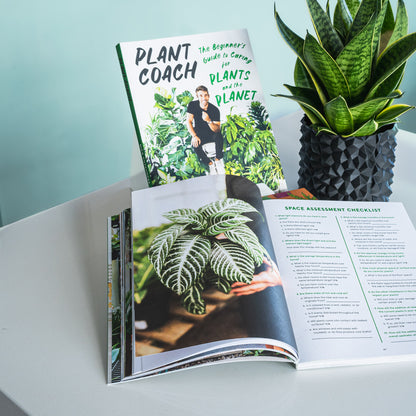Plant Coach | The Plant Boys