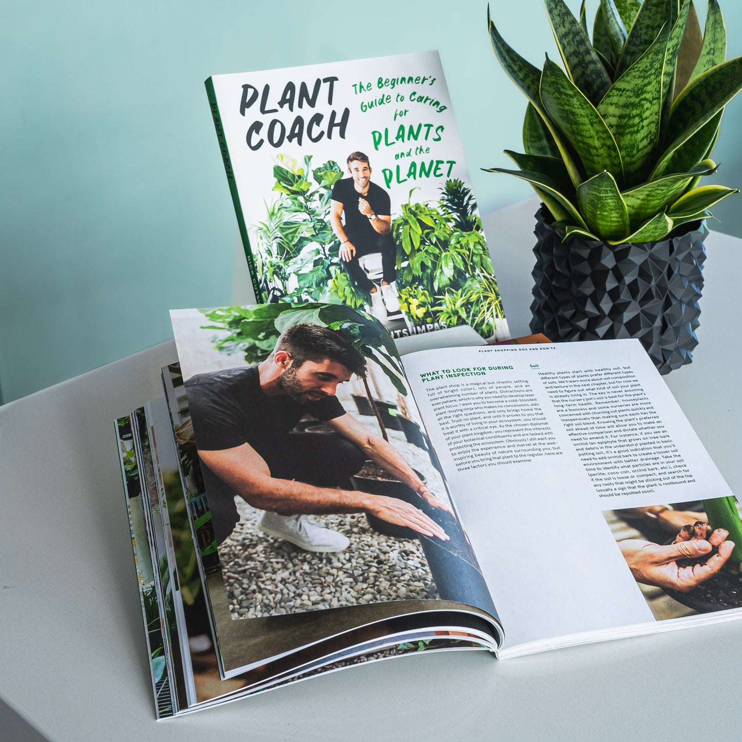 Plant Coach | The Plant Boys