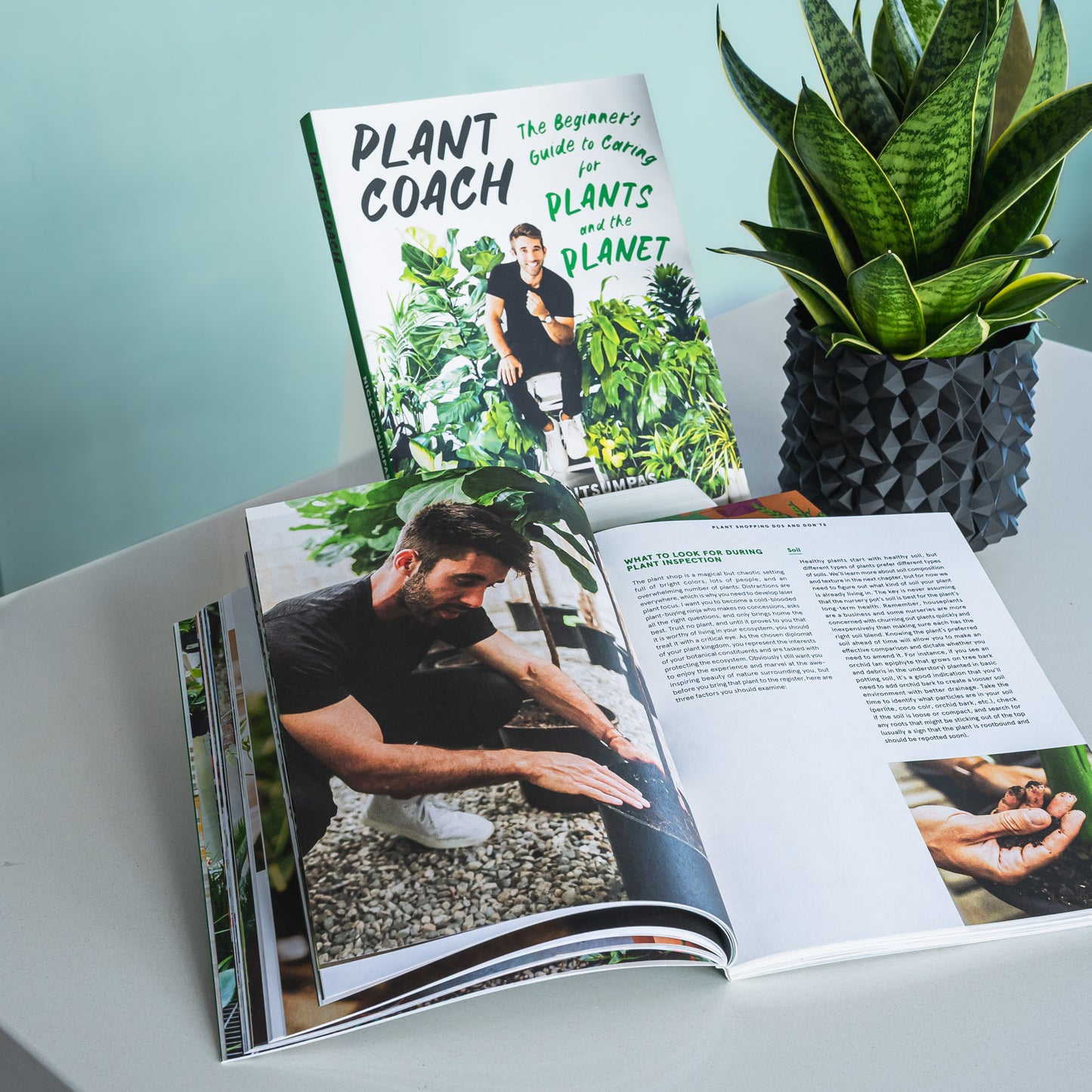 Plant Coach | The Plant Boys