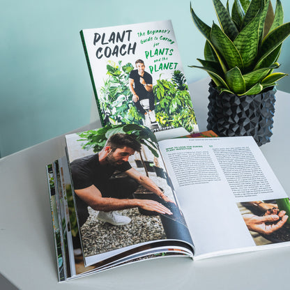 Plant Coach | The Plant Boys