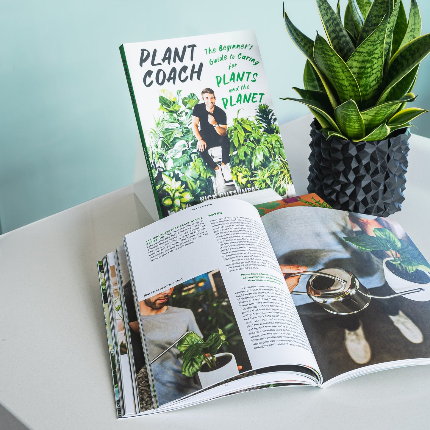 Plant Coach | The Plant Boys
