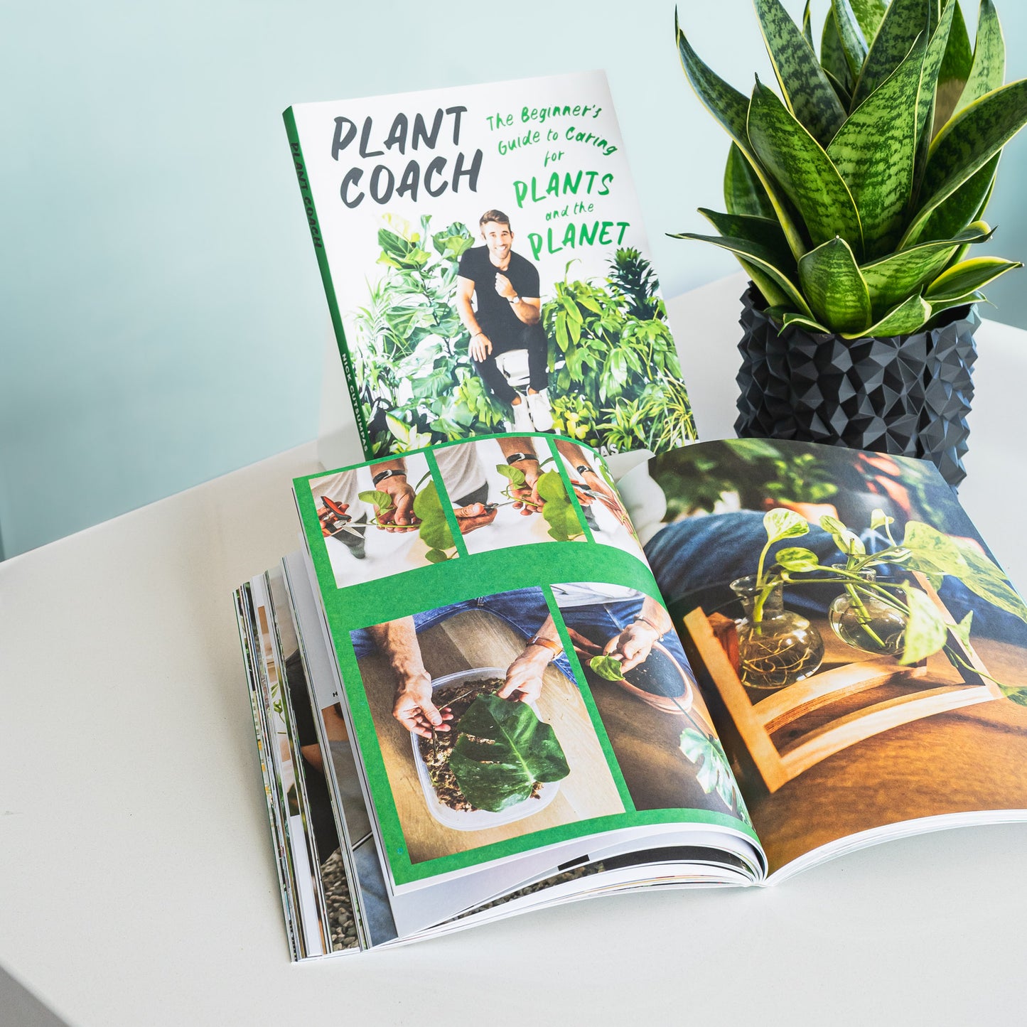 Plant Coach | The Plant Boys
