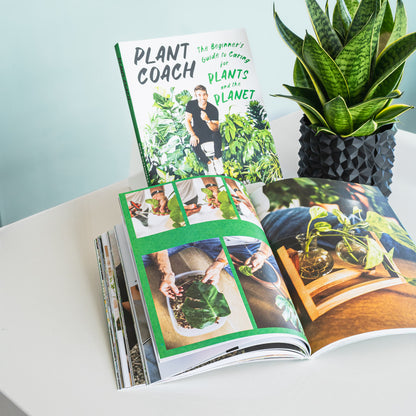 Plant Coach | The Plant Boys