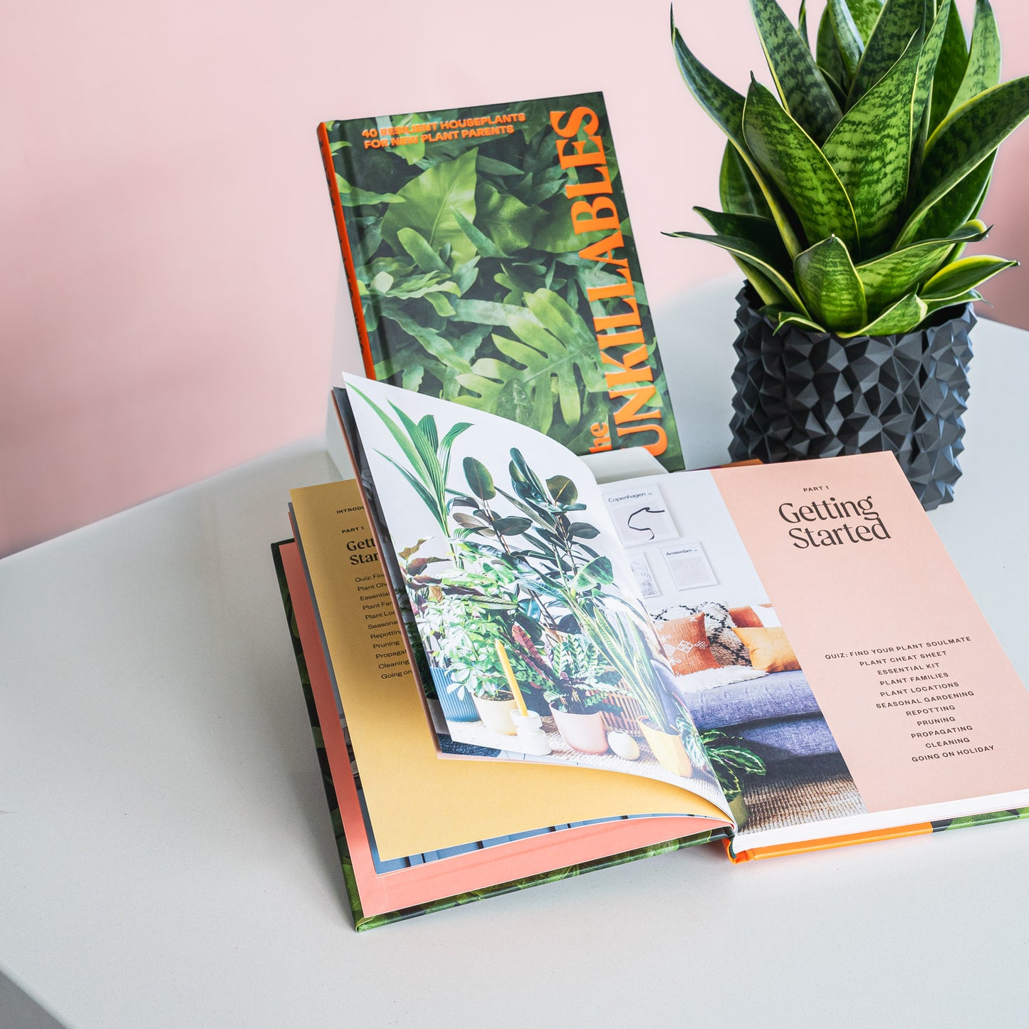 The Unkillables | The Plant Boys