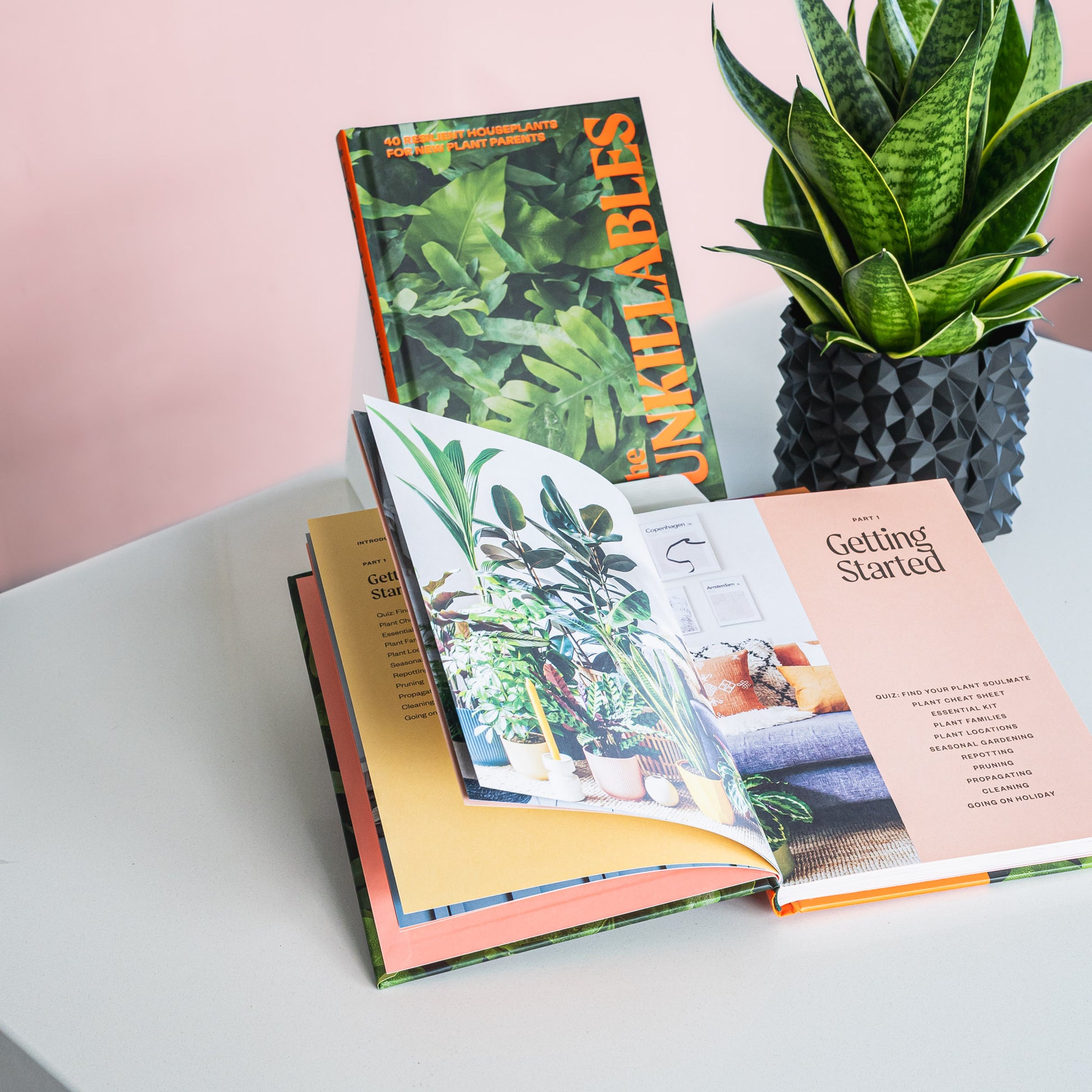 The Unkillables | The Plant Boys