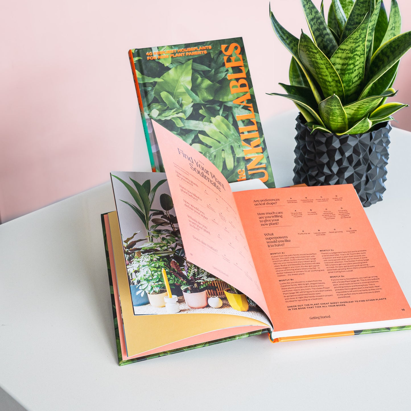 The Unkillables | The Plant Boys