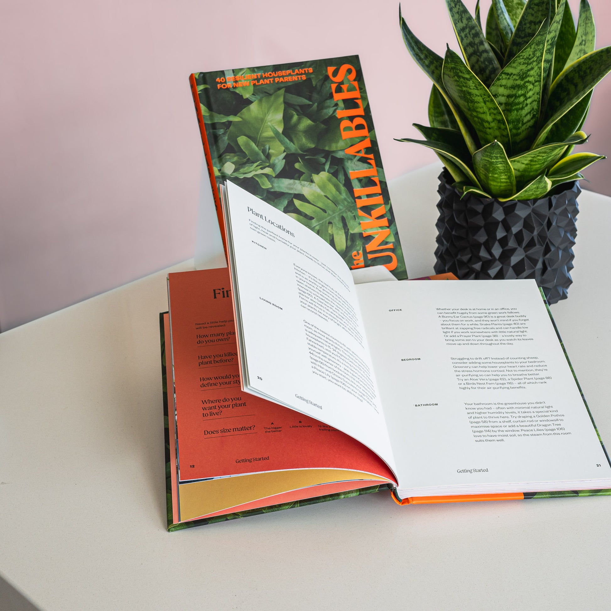 The Unkillables | The Plant Boys