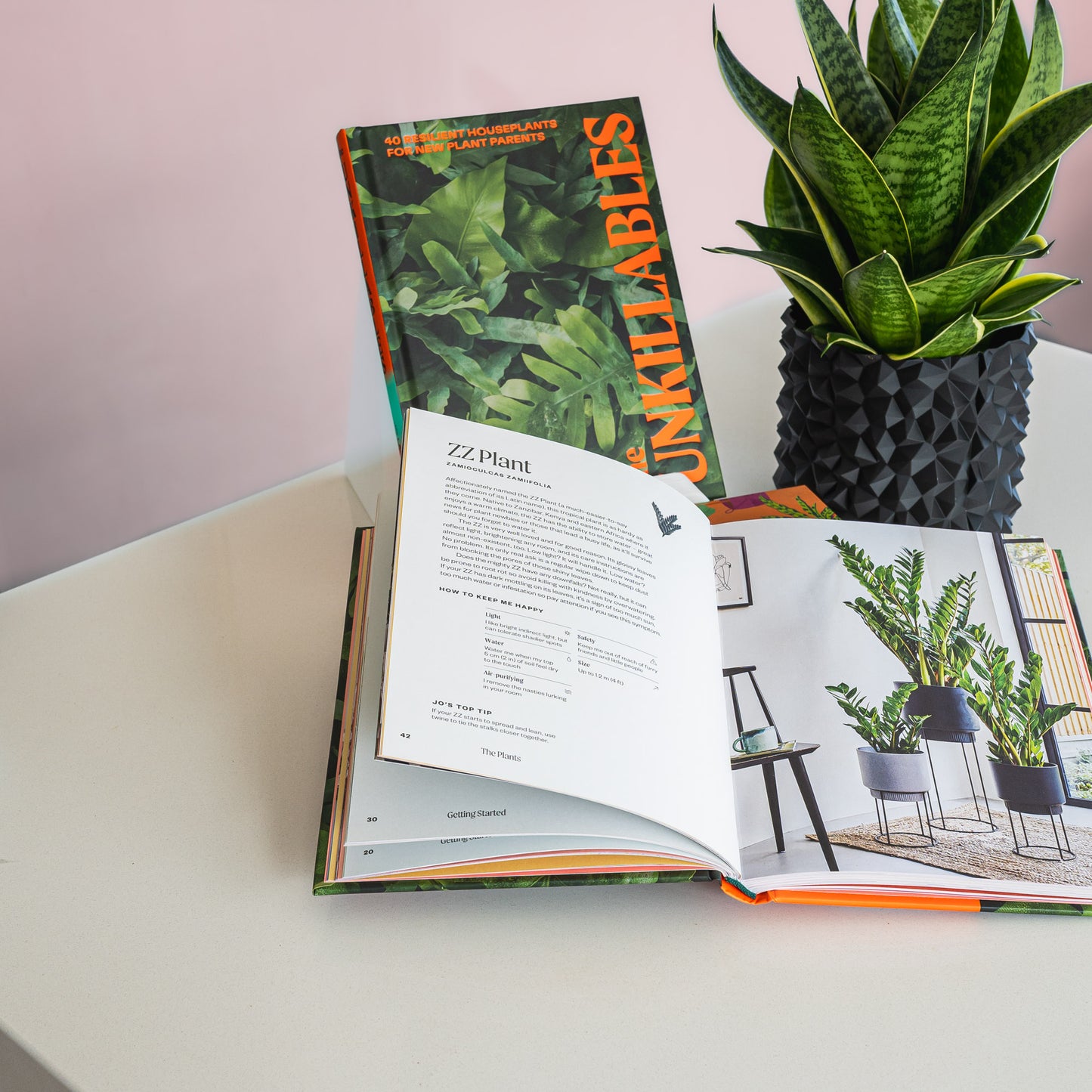 The Unkillables | The Plant Boys