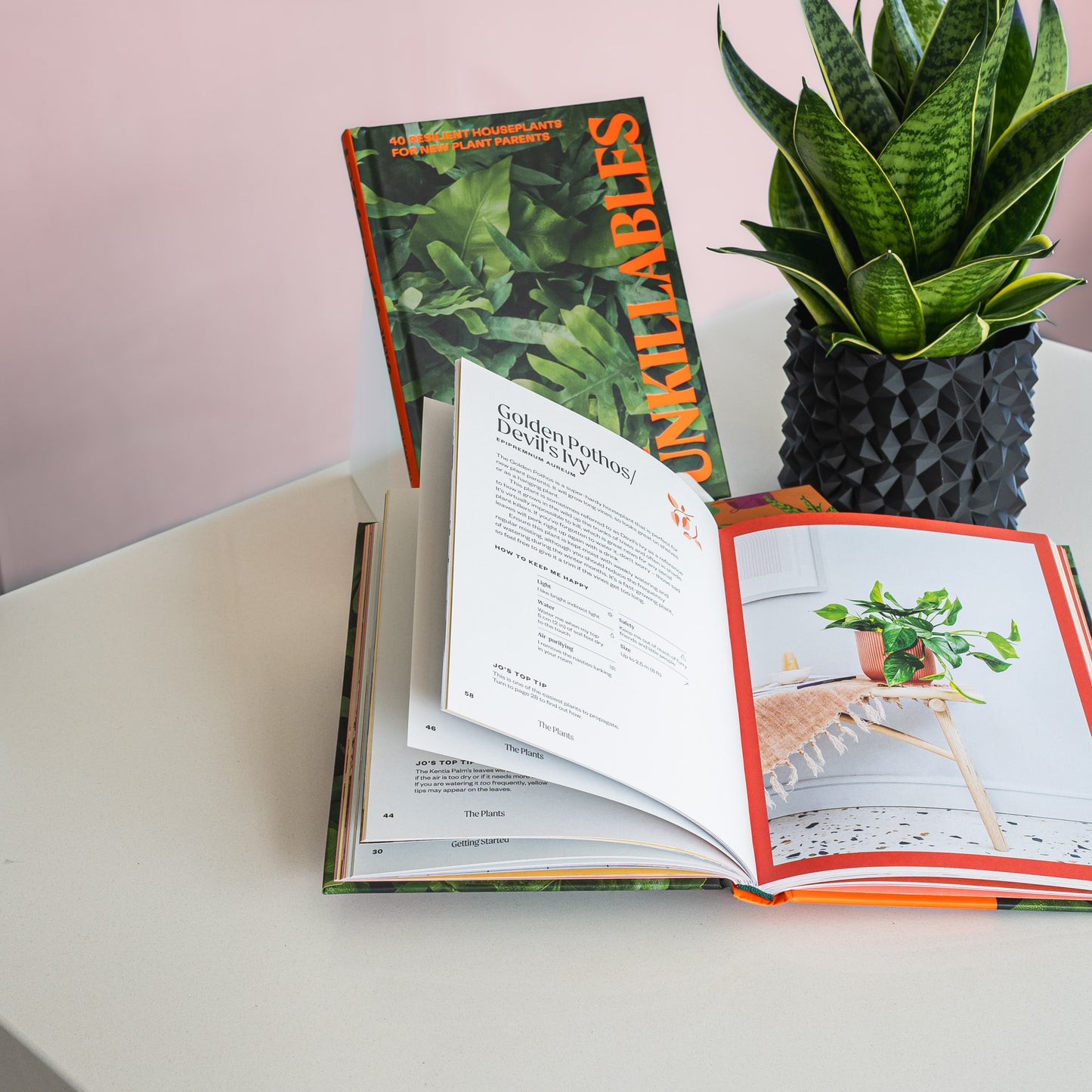 The Unkillables | The Plant Boys