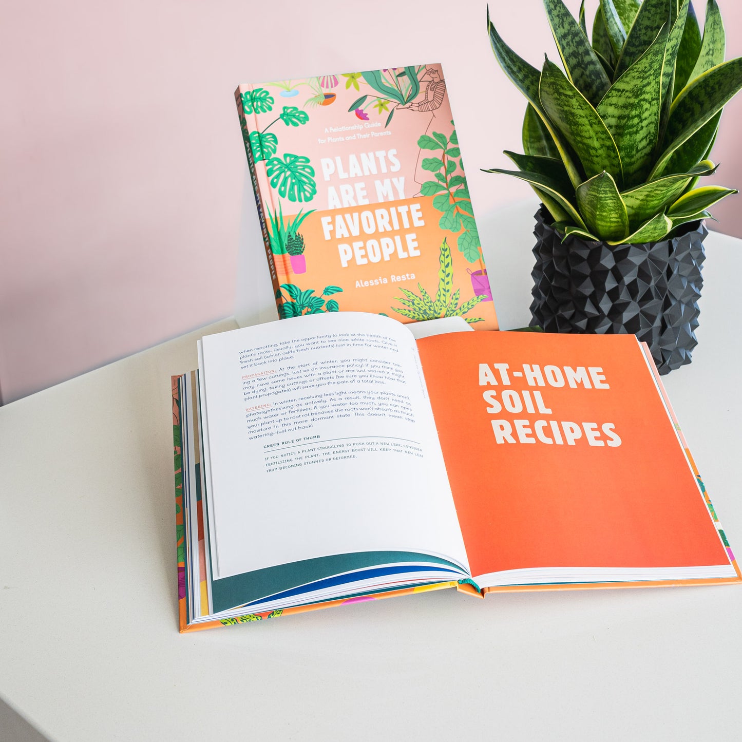 Plants Are My Favorite People | The Plant Boys