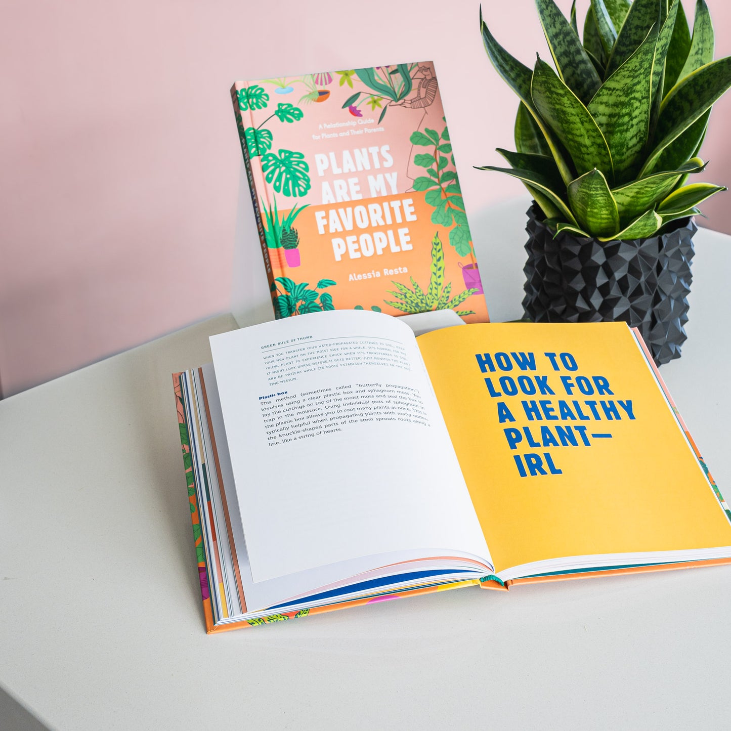 Plants Are My Favorite People | The Plant Boys