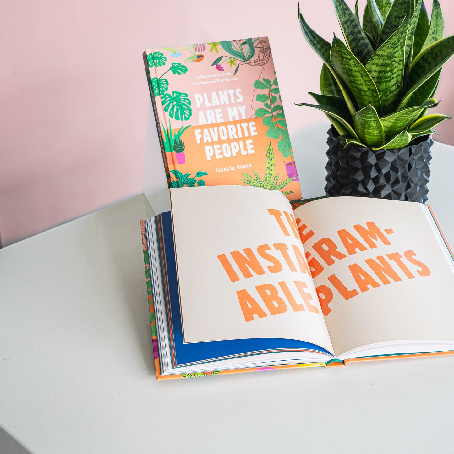 Plants Are My Favorite People | The Plant Boys