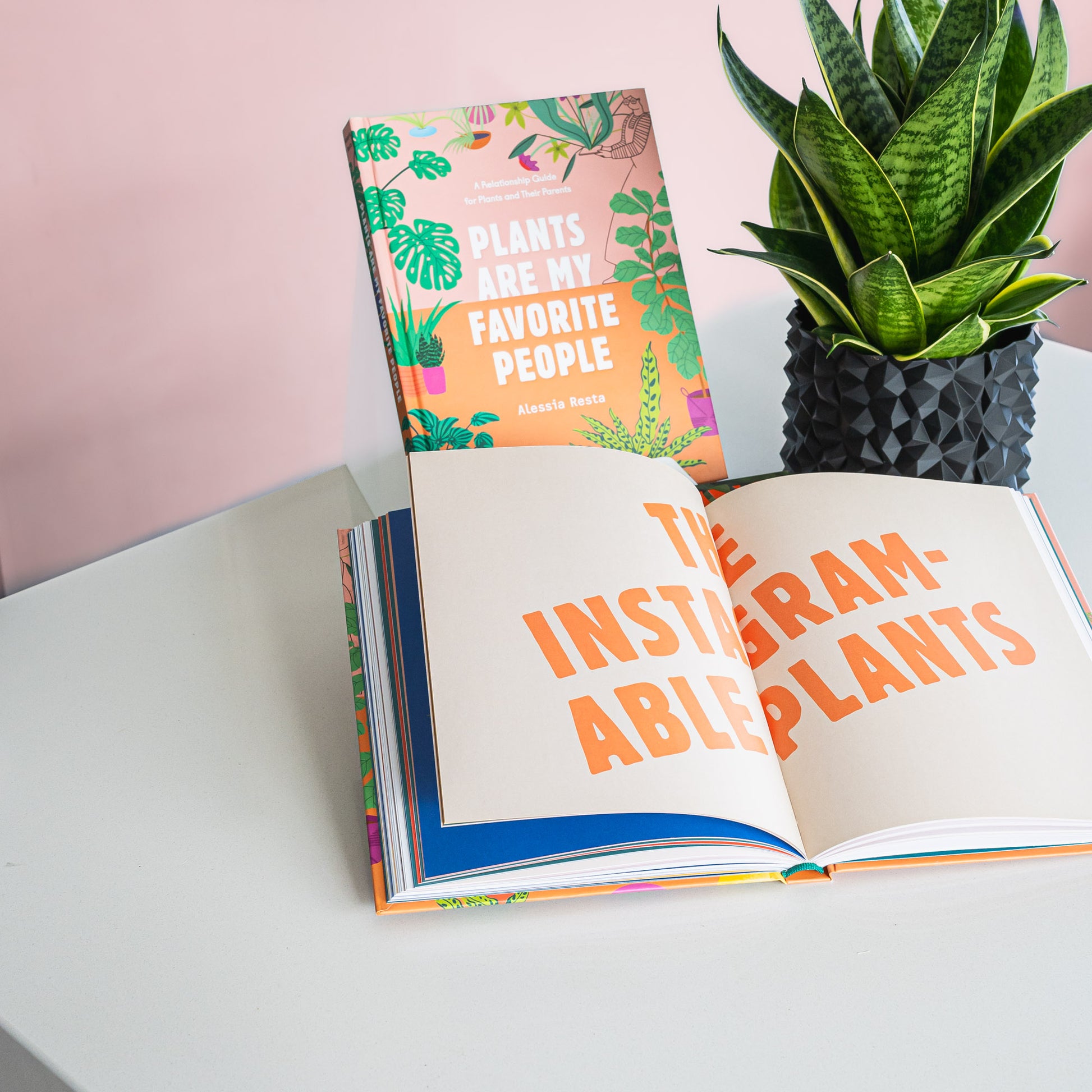 Plants Are My Favorite People | The Plant Boys