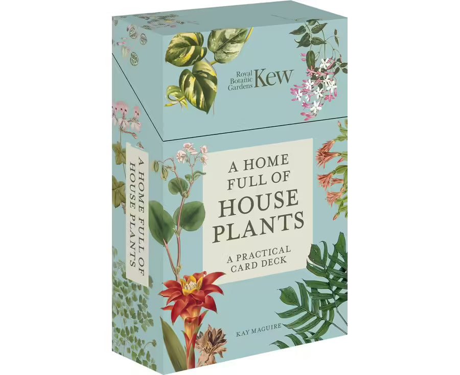 A Home Full of House Plants | The Plant Boys