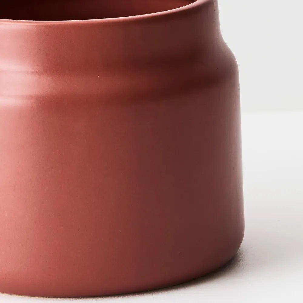 Anja Pot | The Plant Boys