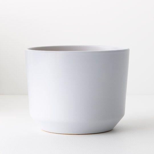 Billi Pot | The Plant Boys