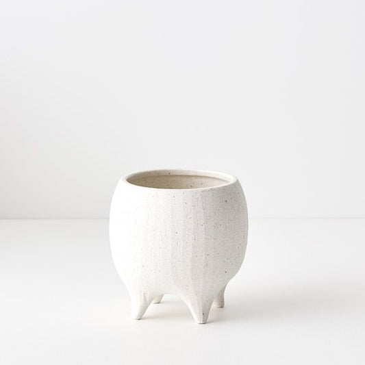 Alena Pot | The Plant Boys