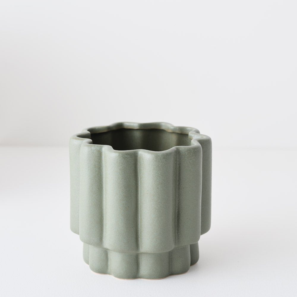 Gustel Pot | The Plant Boys